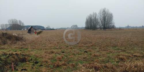 Działki w Łagodzinie z Warunkami Zabudowy 