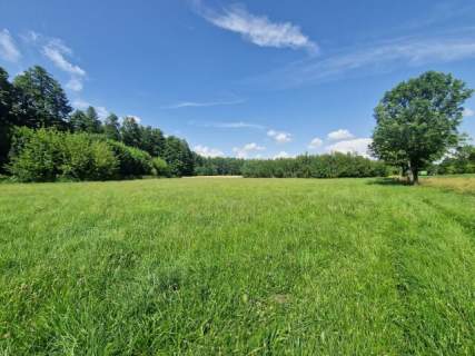 Działka inwestycyjna 1,11ha - Borysławice Zamk. sprzedam lub...