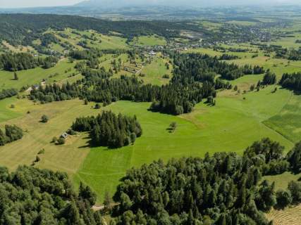 Działka rolno-leśna Obidowa