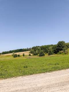 Działki o łącznej powirzchni 4,25 ha Joniny