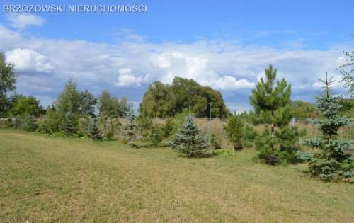 Wilanów, Syta,MPZP,biźniaki,szeregowa,10 jednostek
