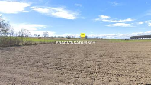Działka rolna na sprzedaż, 30500 m2, Prandocin-Iły