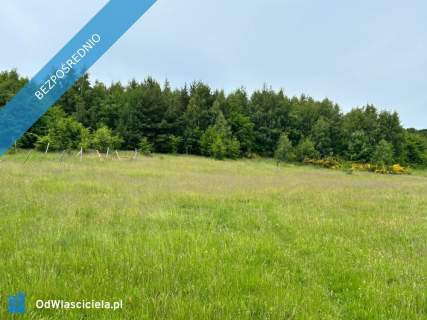 Działka 4500 m , 7 km od morza WZ, rozpoczęta budowa, prąd, stu