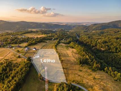 Gotowy biznes z ROI 16% Domek i działka 3645m2