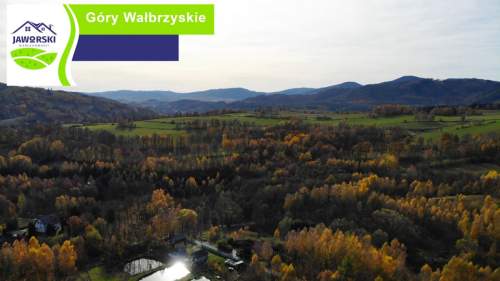 PROMOCJA - Działki - Olszyniec - PODLESIE
