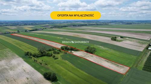 Działka rolna na sprzedaż, 30500 m2, Prandocin-Iły