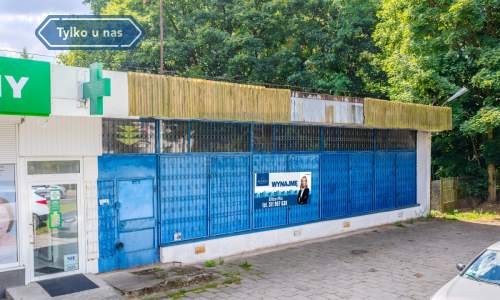 Lokal użytkowy na wynajem w Borownie