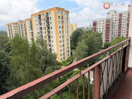 3 pokoje w centrum Bielska