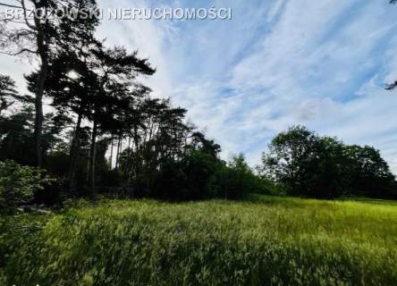 Magdalenka, 1630 m2, MPZP, mieszkaniowa usługowa
