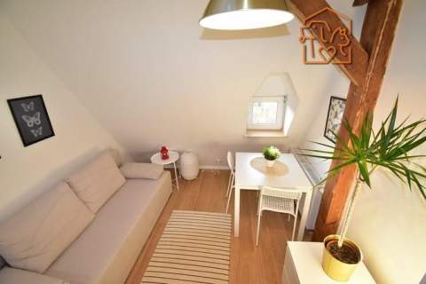 Śląska 4, Okole, przyjazne zwierzętom studio