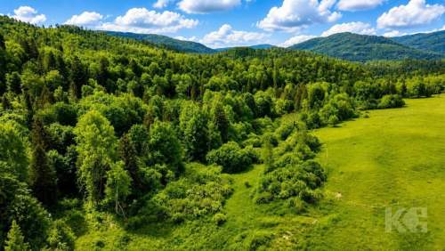 Bieszczady-Strzebowiska