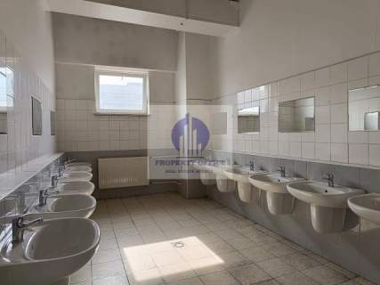 Praga Północ lokal biurowo-usługowy 261,14 m2 do wynajęcia