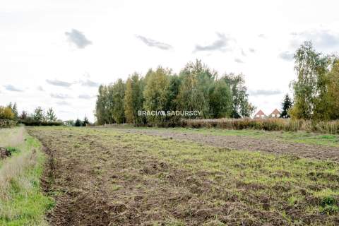 Działka budowlana / 25 ar / płaska / Cholerzyn