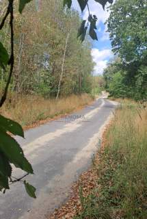 Działka budowlana/usługowa w zaciszu lasu 3350m2