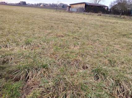 Zamienię działkę budowlaną w Kampinosie na domek z działką