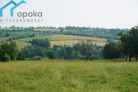 Duża działka w Cieszynie