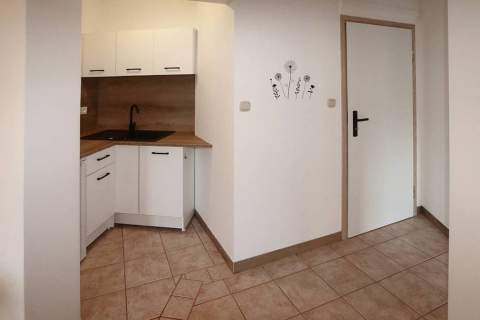 Mieszkanie do wynajęcia, 35 m2, Poznań