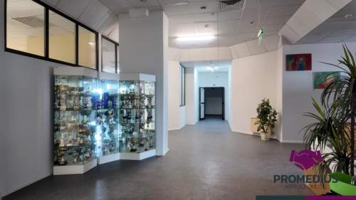 Biuro do wynajęcia, 147,3 m2, Koszalin