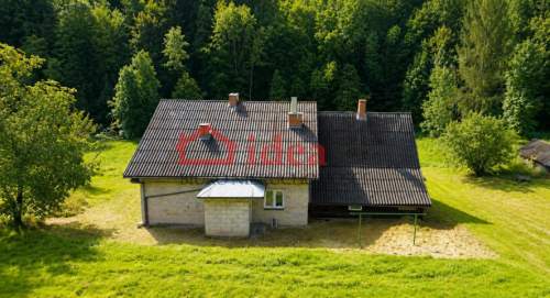 LEŚNA ENKLAWA W ORZECHÓWCE