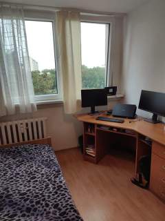 Szczepin/Czarnieckiego/3 pokoje/rozkład/piwnica