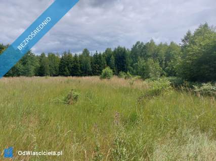 Działka 2,82 ha na sprzedaż Wiluki