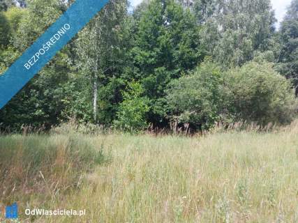 Działka 2,82 ha na sprzedaż Wiluki