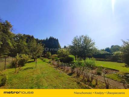 1615 m - gotowy OGRÓD marzeń - Kamień