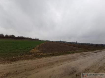 Działka na sprzedaż, 10040 m2, Gręzówka-Kolonia