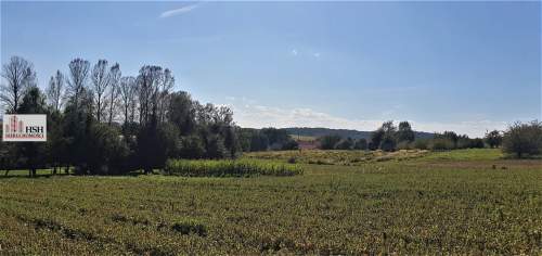Młodziejowice, atrakcyjna, prawie płaska, 18 ar