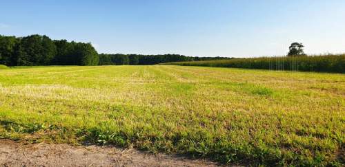 Inwestuj w przyszłość-postaw farmę fotowoltaiczną