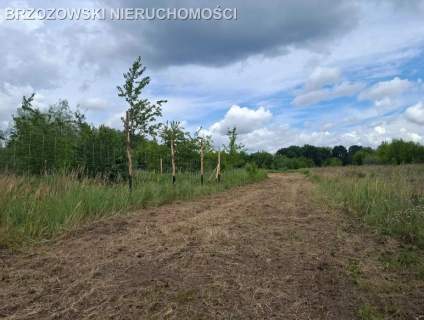 Wawer, Zerzeń, 835 m2, WZ, wolnostojący