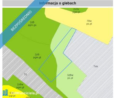Działka 4295 m   złożony wniosek o WZ na dwa domy