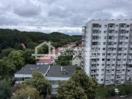 Kawalerka z widokiem na las na Przylesiu