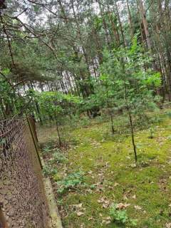 Działka budowlana Oleszno 1,04ha