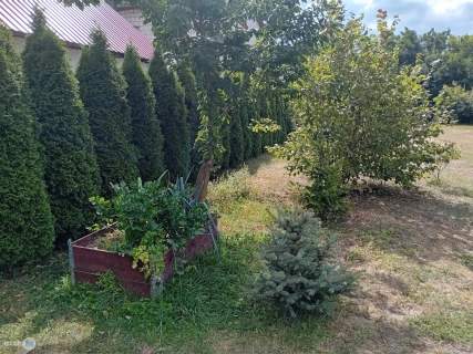 Atrakcyjny, parterowy dom z dużą działką 