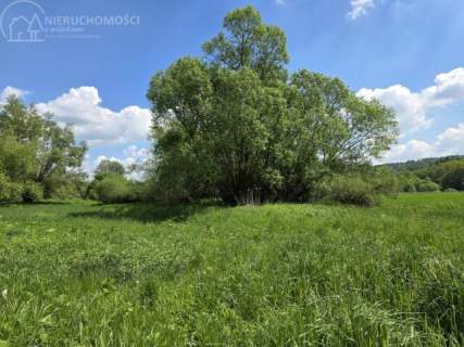 Lubaszowa - działka 29 arów w sąsiedztwie rzeki Biała 