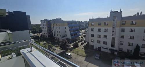 Mieszkanie do wynajęcia, Nowy Świat
