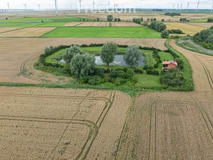 Działka 1ha z prywatnym stawem z dala od zgiełku
