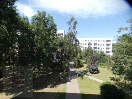 Ładne 3 pokoje z loggią jak w parku.