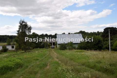 Wyjątkowy teren inwestycyjny - stadnina