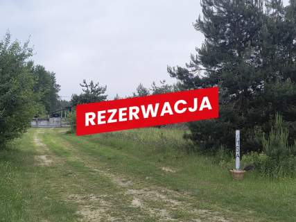 Na sprzedaż działka budowlana - Żdżary Czarna