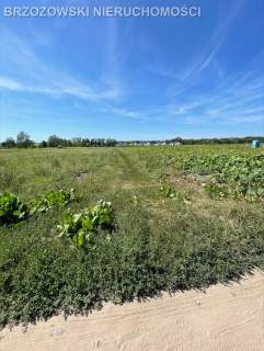 Wilanów, Powsin 3829, mieszkaniowa bliźniacza