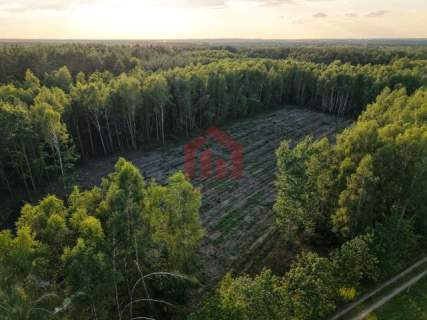 Działki budowlane lesie - Zarezerwowane