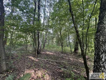 Działki budowlane w leśnym otoczeniu