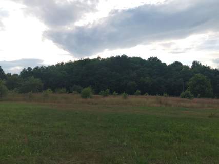 Działka z WZ bezterminową, natura, spokój szybkie centrum