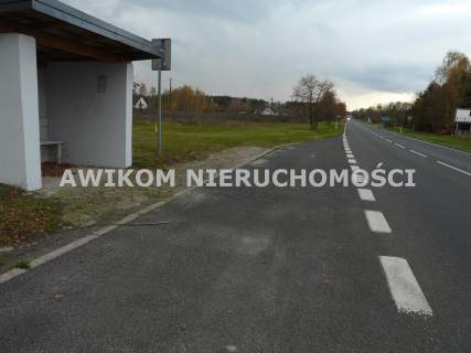 Działka rolna na sprzedaż, 58340 m2, Lisowola