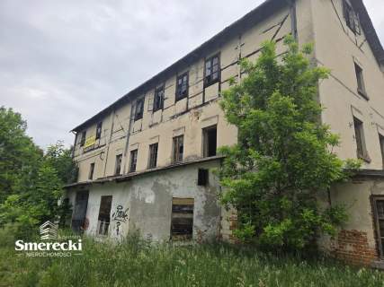 Zabytkowy młyn z możliwością adaptacji