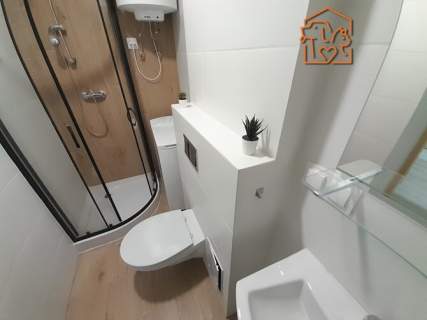 2 pokoje, pet-friendly - Kołłątaja 42