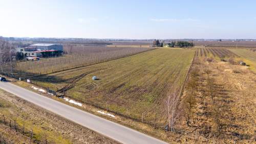 Działki budowlane, Warpęsy k/Grójca,węzeł S7