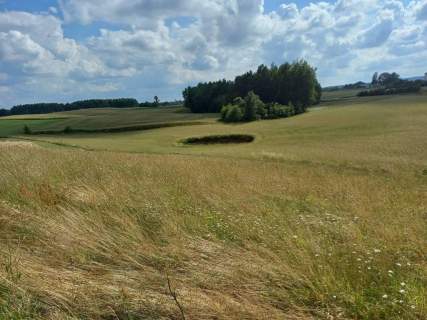 Działka budowlana na sprzedaż, 1011 m2, Borzestowska Huta